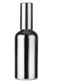 Clear Glass Perfume Spray Dispenser Bottle (Option: Silver model)